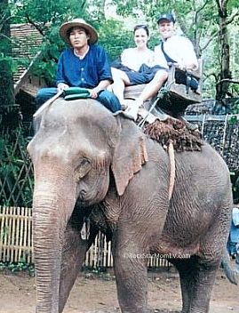 Bali Elephant