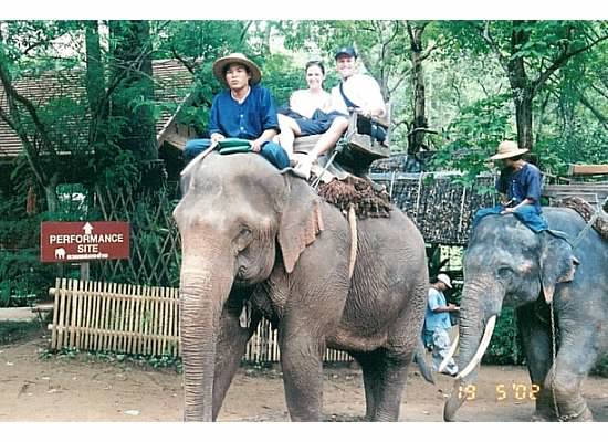 The Elephant Conservatory in Chaing Mai Thailand