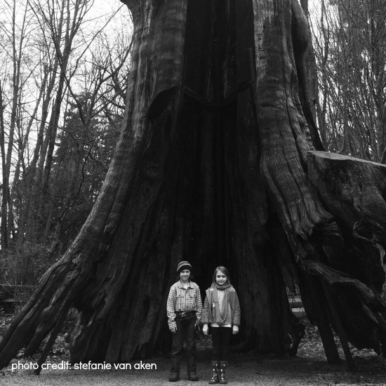Hollow Tree Vancouver